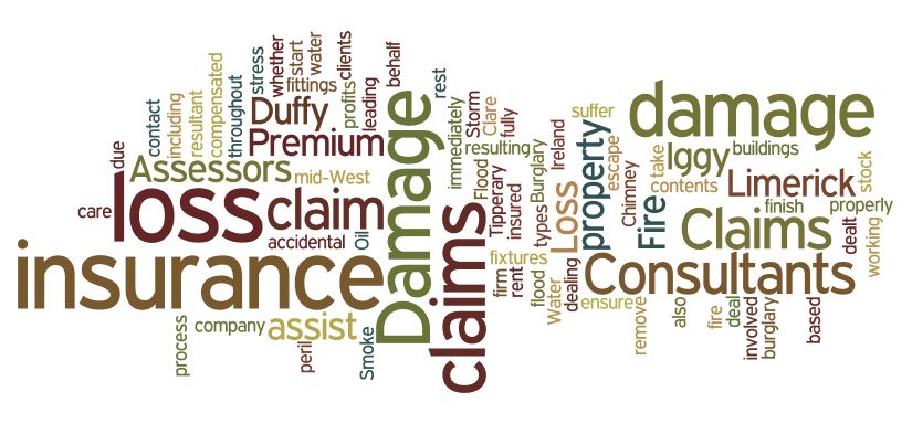 Premium Claims Insurance Loss assessor