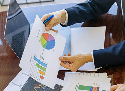 Loss Assessor Role